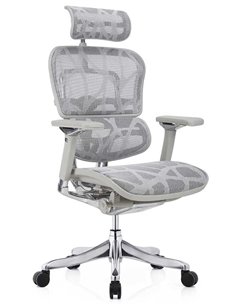 Кресло ERGOHUMAN PLUS LUXURY (EHPL-AG-HAM, ZB7) эргономичное