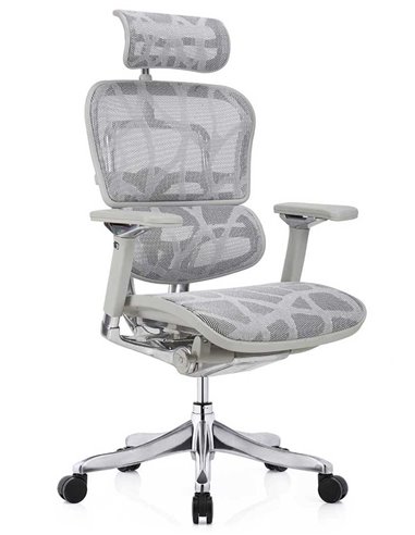 Кресло ERGOHUMAN PLUS LUXURY (EHPL-AG-HAM, ZB7) эргономичное