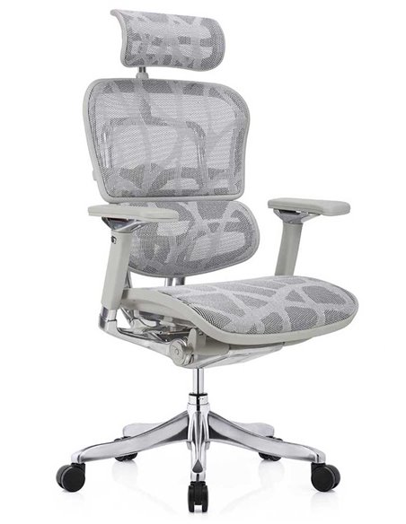 Кресло ERGOHUMAN PLUS LUXURY (EHPL-AG-HAM, ZB7) эргономичное