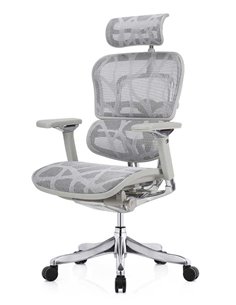 Кресло ERGOHUMAN PLUS LUXURY (EHPL-AG-HAM, ZB7) эргономичное 2