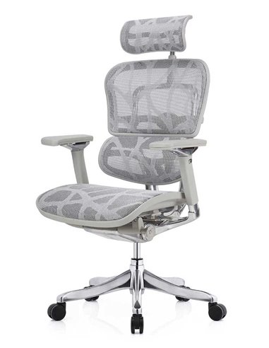 Кресло ERGOHUMAN PLUS LUXURY (EHPL-AG-HAM, ZB7) эргономичное