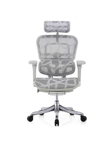 Кресло ERGOHUMAN PLUS LUXURY (EHPL-AG-HAM, ZB7) эргономичное