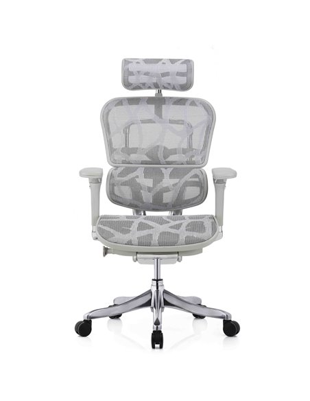 Кресло ERGOHUMAN PLUS LUXURY (EHPL-AG-HAM, ZB7) эргономичное