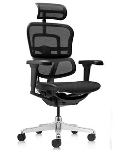 Кресло ERGOHUMAN ULTRA (EHU-AB-HAM-4D, сетка T-168-B1 BLACK), эргономичное
