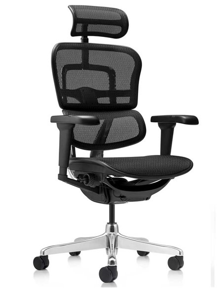 Кресло ERGOHUMAN ULTRA (EHU-AB-HAM-4D, сетка T-168-B1 BLACK), эргономичное