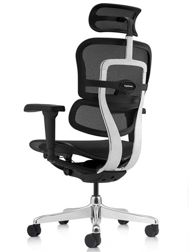 Кресло ERGOHUMAN ULTRA (EHU-AB-HAM-4D, сетка T-168-B1 BLACK), эргономичное