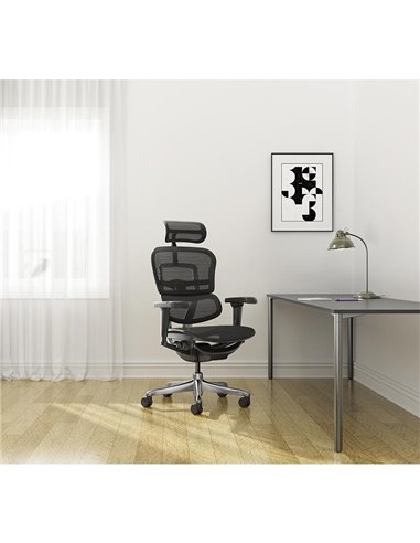 Кресло ERGOHUMAN ULTRA (EHU-AB-HAM-4D, сетка T-168-B1 BLACK), эргономичное