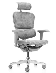 Кресло ERGOHUMAN ULTRA (EHU-AG-HAM-4D, сетка T-168-B2 NATURAL), эргономичное