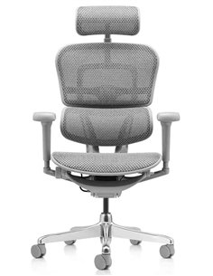 Кресло ERGOHUMAN ULTRA (EHU-AG-HAM-4D, сетка T-168-B2 NATURAL), эргономичное 2