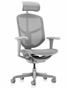 Кресло ENJOY ULTRA (EJU-G-HAM-4D, сетка T-168-B2 NATURAL), эргономичное