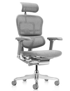 Кресло ERGOHUMAN LUXURY 2 (EHL2-AG-HAM-5D-L, сетка Т-168-B2 Natural), эргономичное