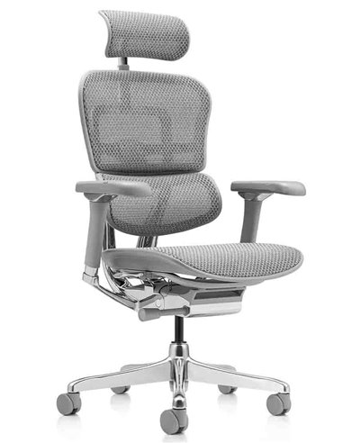 Кресло ERGOHUMAN LUXURY 2 (EHL2-AG-HAM-5D-L, сетка Т-168-B2 Natural), эргономичное
