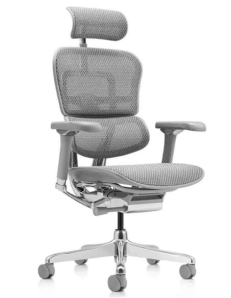 Кресло ERGOHUMAN LUXURY 2 (EHL2-AG-HAM-5D-L, сетка Т-168-B2 Natural), эргономичное