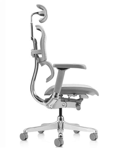 Кресло ERGOHUMAN LUXURY 2 (EHL2-AG-HAM-5D-L, сетка Т-168-B2 Natural), эргономичное