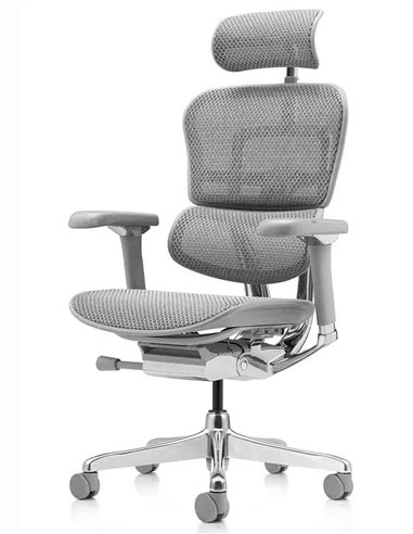 Кресло ERGOHUMAN LUXURY 2 (EHL2-AG-HAM-5D-L, сетка Т-168-B2 Natural), эргономичное
