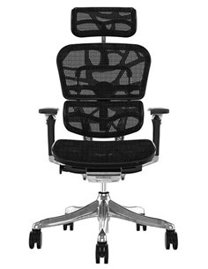 Кресло ERGOHUMAN PLUS LUXURY (EHPL-AB-HAM) компьютерное 2