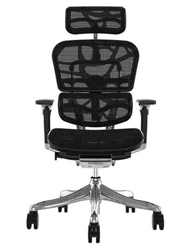 Кресло ERGOHUMAN PLUS LUXURY (EHPL-AB-HAM) компьютерное