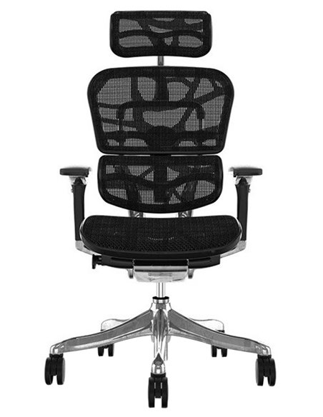 Кресло ERGOHUMAN PLUS LUXURY (EHPL-AB-HAM) компьютерное