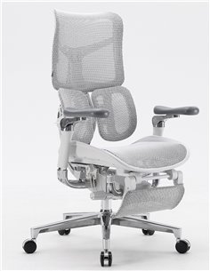 Кресло SIHOO DORO-S300 WHITE эргономичное