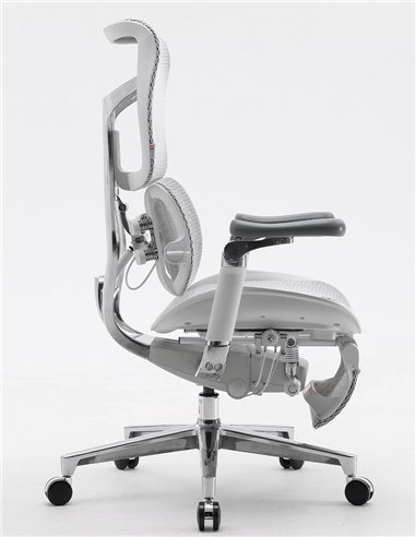 Кресло SIHOO DORO-S300 WHITE эргономичное