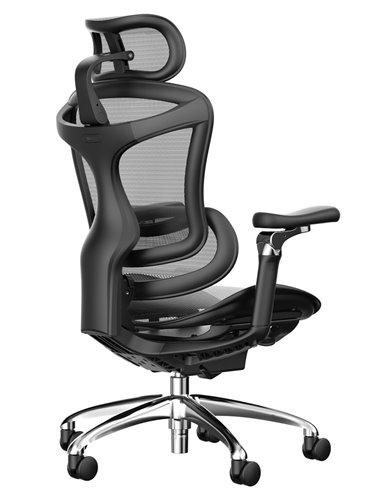 Крісло SIHOO DORO-C300 BLACK ергономічне