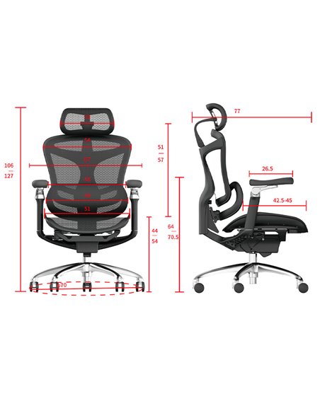 Кресло SIHOO DORO-C300 BLACK эргономичное
