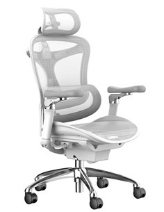 Кресло SIHOO DORO-C300 WHITE эргономичное