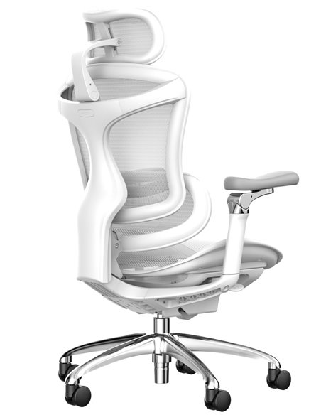 Кресло SIHOO DORO-C300 WHITE эргономичное