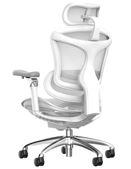 Кресло SIHOO DORO-C300 WHITE эргономичное