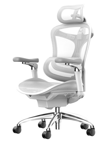 Кресло SIHOO DORO-C300 WHITE эргономичное