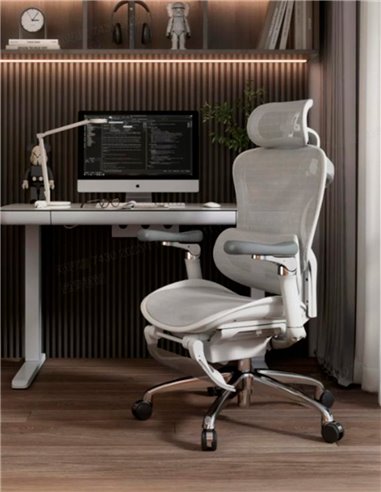 Кресло SIHOO DORO-C300 WHITE эргономичное