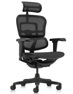 Крісло ERGOHUMAN ULTRA ALL BLACK (EHU-BB-HAM-4D, сітка T-168-B1 BLACK), ергономічне