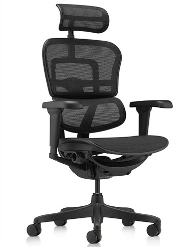 Кресло ERGOHUMAN ULTRA ALL BLACK (EHU-BB-HAM-4D, сетка T-168-B1 BLACK), эргономичное
