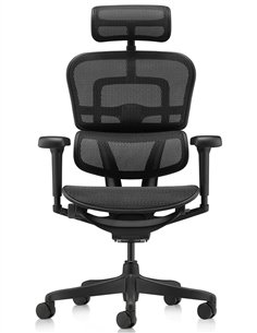 Крісло ERGOHUMAN ULTRA ALL BLACK (EHU-BB-HAM-4D, сітка T-168-B1 BLACK), ергономічне 2