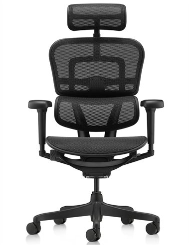 Кресло ERGOHUMAN ULTRA ALL BLACK (EHU-BB-HAM-4D, сетка T-168-B1 BLACK), эргономичное