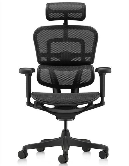 Крісло ERGOHUMAN ULTRA ALL BLACK (EHU-BB-HAM-4D, сітка T-168-B1 BLACK), ергономічне