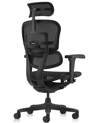 Кресло ERGOHUMAN ULTRA ALL BLACK (EHU-BB-HAM-4D, сетка T-168-B1 BLACK), эргономичное