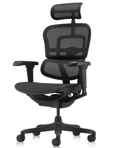 Кресло ERGOHUMAN ULTRA ALL BLACK (EHU-BB-HAM-4D, сетка T-168-B1 BLACK), эргономичное