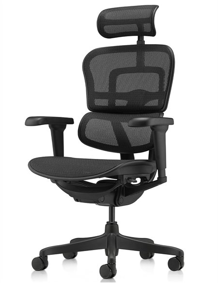 Кресло ERGOHUMAN ULTRA ALL BLACK (EHU-BB-HAM-4D, сетка T-168-B1 BLACK), эргономичное