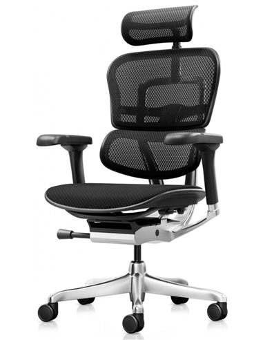 Крісло ERGOHUMAN ELITE 2 (EHE2-AB-HBM-F-5D-L), ергономічне, з тканинним сидінням