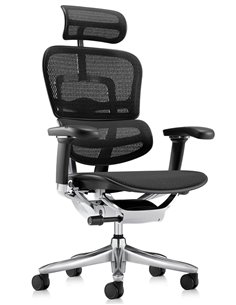 Кресло ERGOHUMAN LUXURY SE (EHSE-AB-HAM-5D-ST-D, сетка W945-01Black), эргономичное