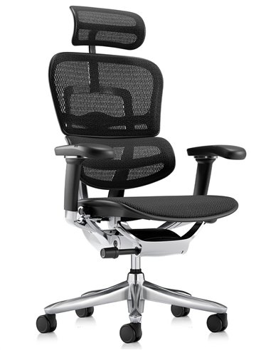 Кресло ERGOHUMAN LUXURY SE (EHSE-AB-HAM-5D-ST-D, сетка W945-01Black), эргономичное