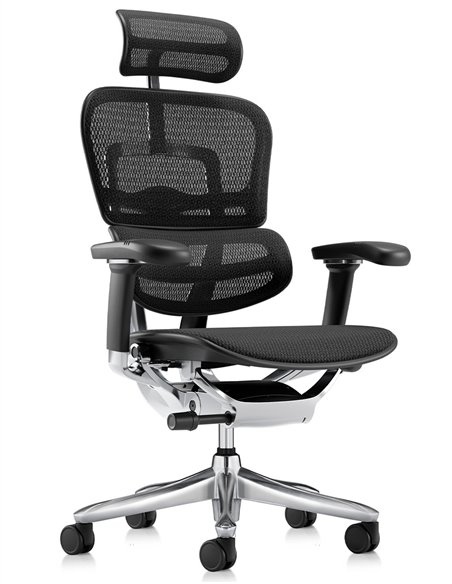Кресло ERGOHUMAN LUXURY SE (EHSE-AB-HAM-5D-ST-D, сетка W945-01Black), эргономичное