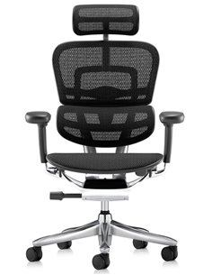 Кресло ERGOHUMAN LUXURY SE (EHSE-AB-HAM-5D-ST-D, сетка W945-01Black), эргономичное 2