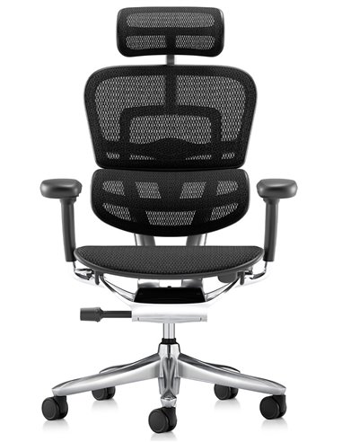 Кресло ERGOHUMAN LUXURY SE (EHSE-AB-HAM-5D-ST-D, сетка W945-01Black), эргономичное