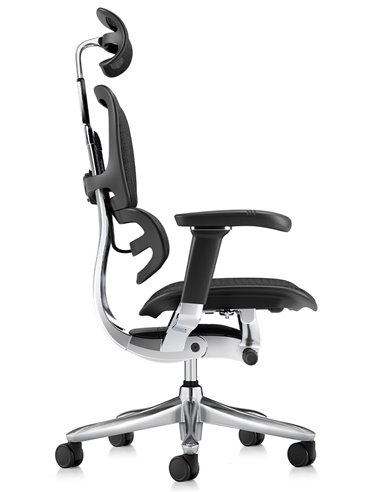 Кресло ERGOHUMAN LUXURY SE (EHSE-AB-HAM-5D-ST-D, сетка W945-01Black), эргономичное