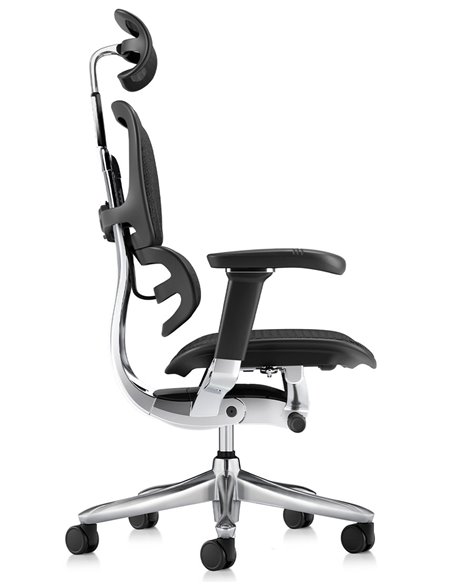Кресло ERGOHUMAN LUXURY SE (EHSE-AB-HAM-5D-ST-D, сетка W945-01Black), эргономичное