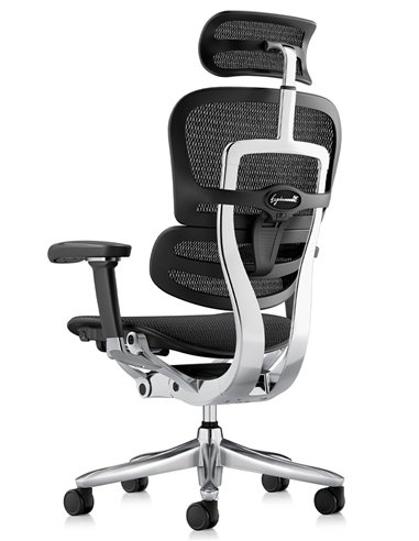 Кресло ERGOHUMAN LUXURY SE (EHSE-AB-HAM-5D-ST-D, сетка W945-01Black), эргономичное