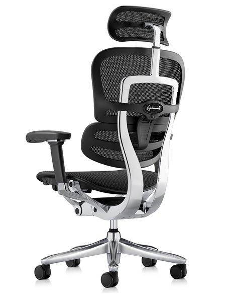 Кресло ERGOHUMAN LUXURY SE (EHSE-AB-HAM-5D-ST-D, сетка W945-01Black), эргономичное