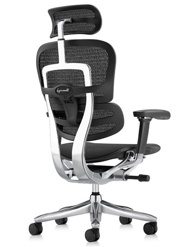 Кресло ERGOHUMAN LUXURY SE (EHSE-AB-HAM-5D-ST-D, сетка W945-01Black), эргономичное